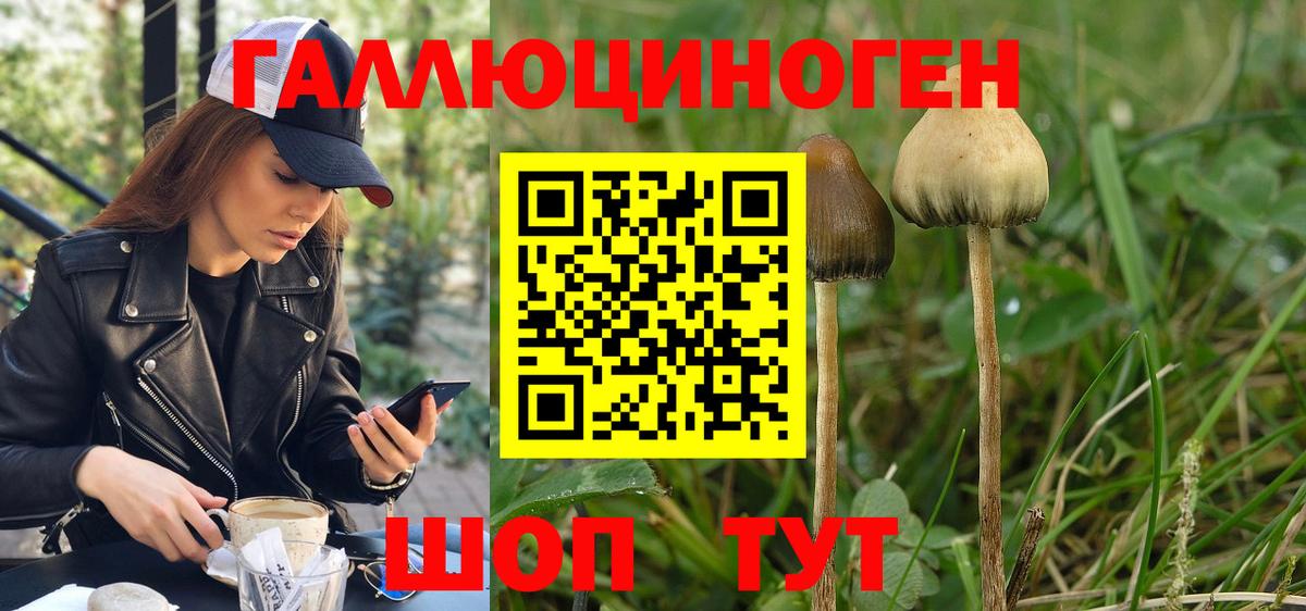 Краснокаменск  Псилоцибиновые грибы мухоморы  где купить наркотик  Вход с VPN 
